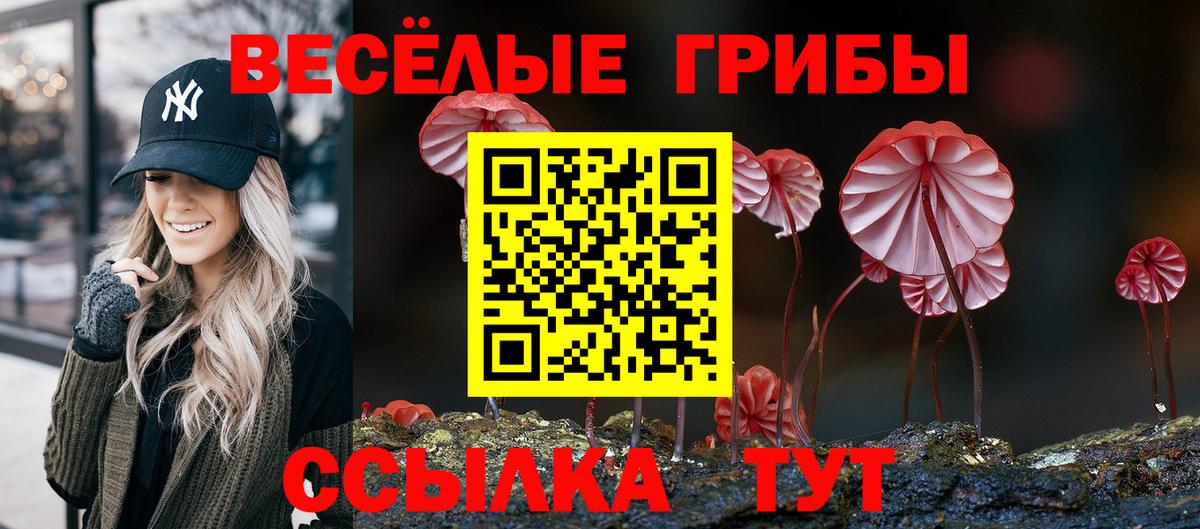 Псилоцибиновые грибы MAGIC MUSHROOMS  Псилоцибиновые грибы Psilocybe  Вход с VPN  продажа наркотиков  Керчь 